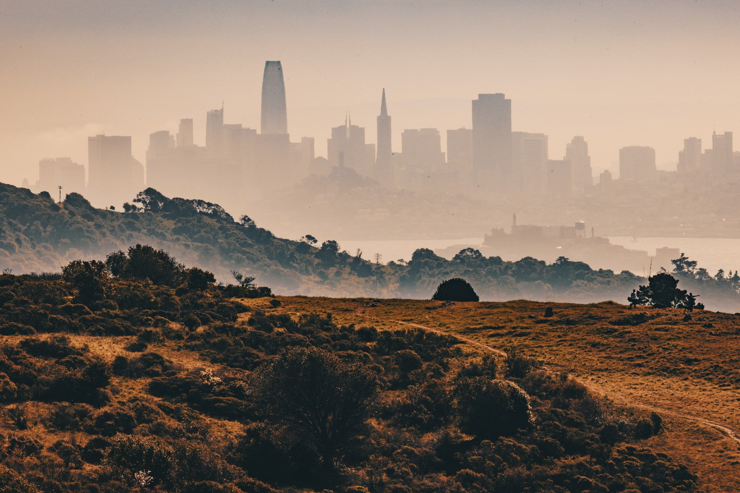 Project Main Image – Tiburon