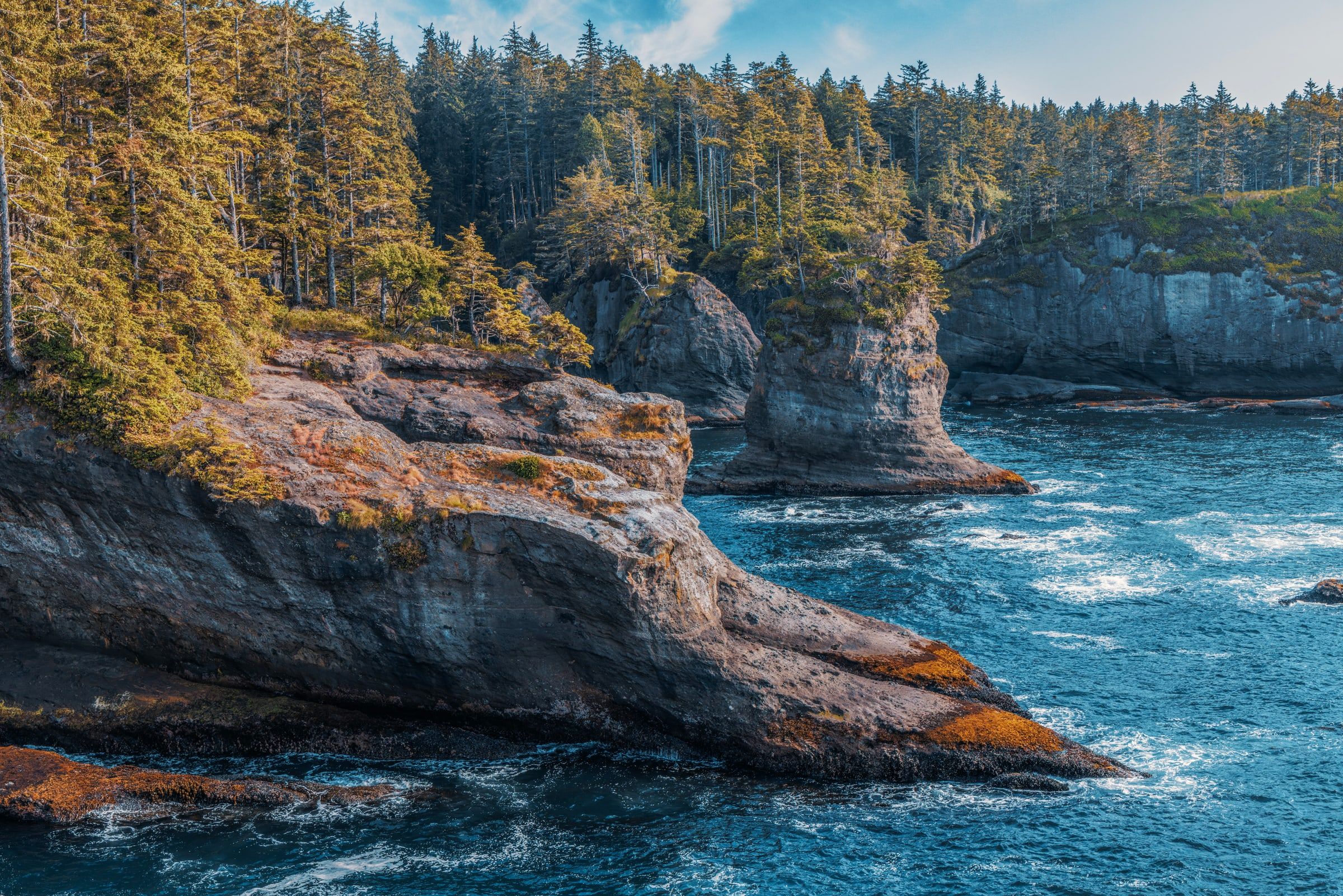 Project Main Image – Olympic National Park