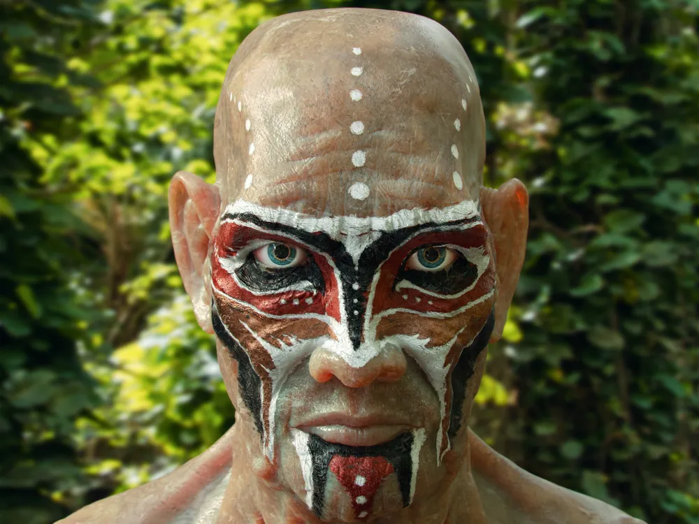 Project Main Image – Warrior