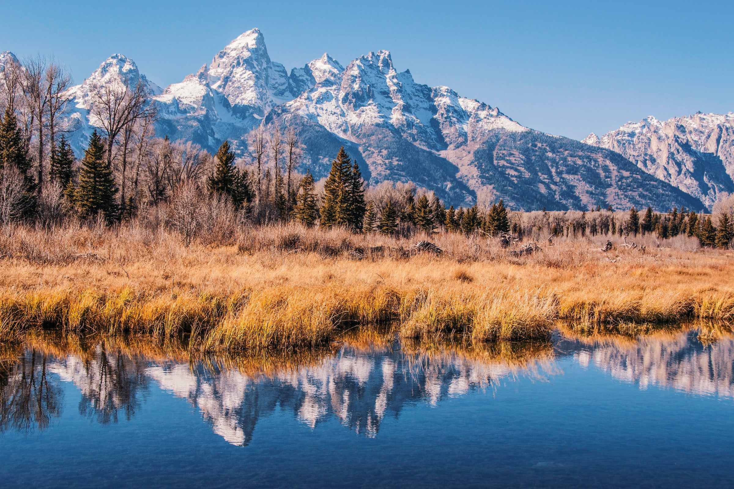 Project Main Image – Grand Teton