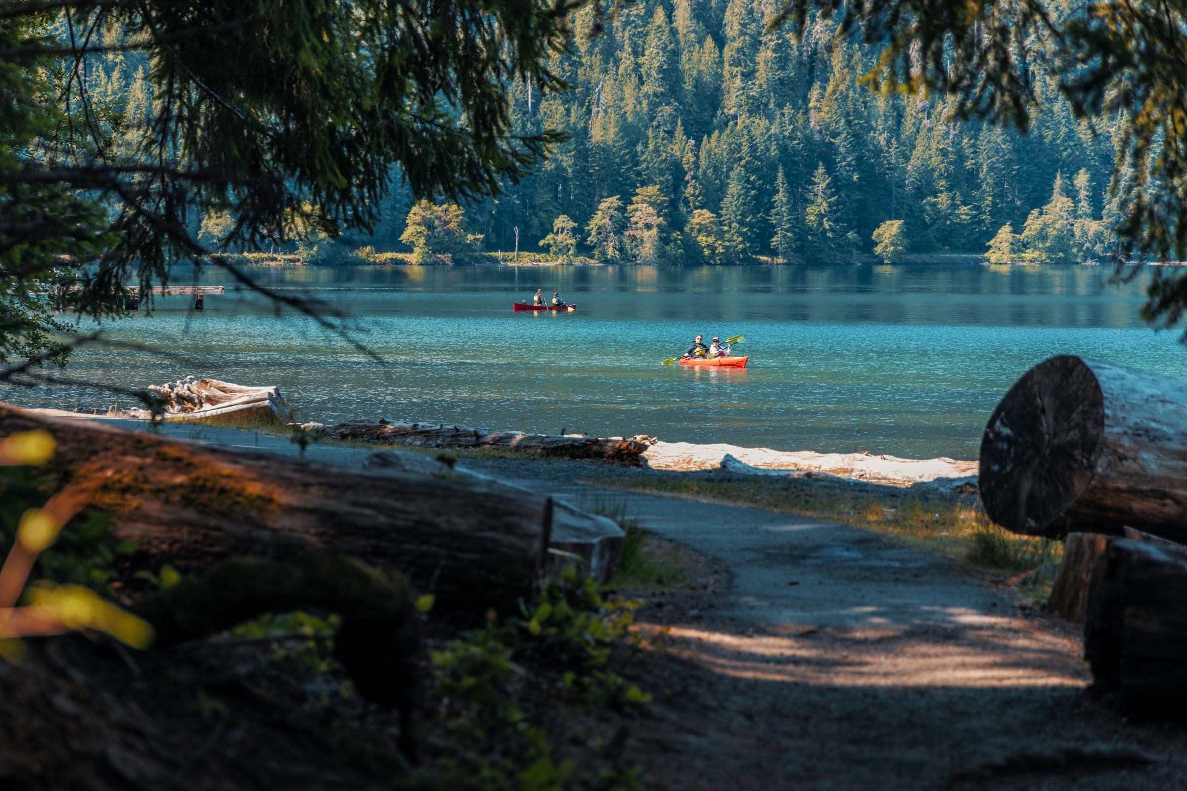 Project Main Image – Olympic National Park