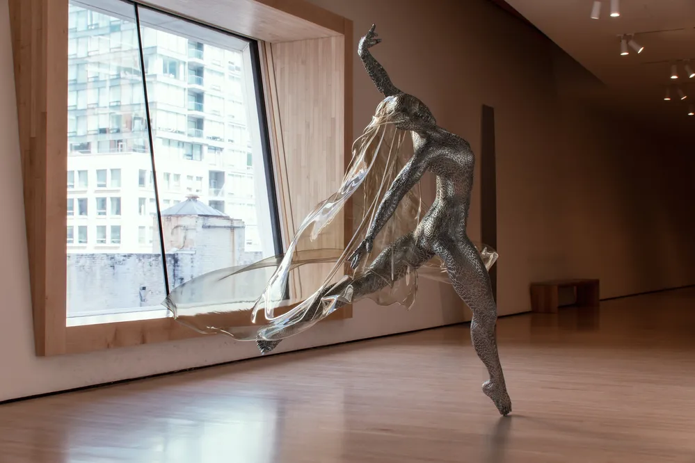 Project Main Image – Ballerina