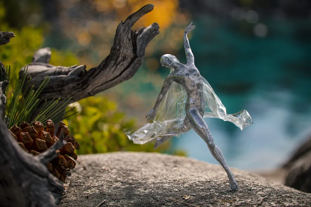 Project Main Image – Ballerina
