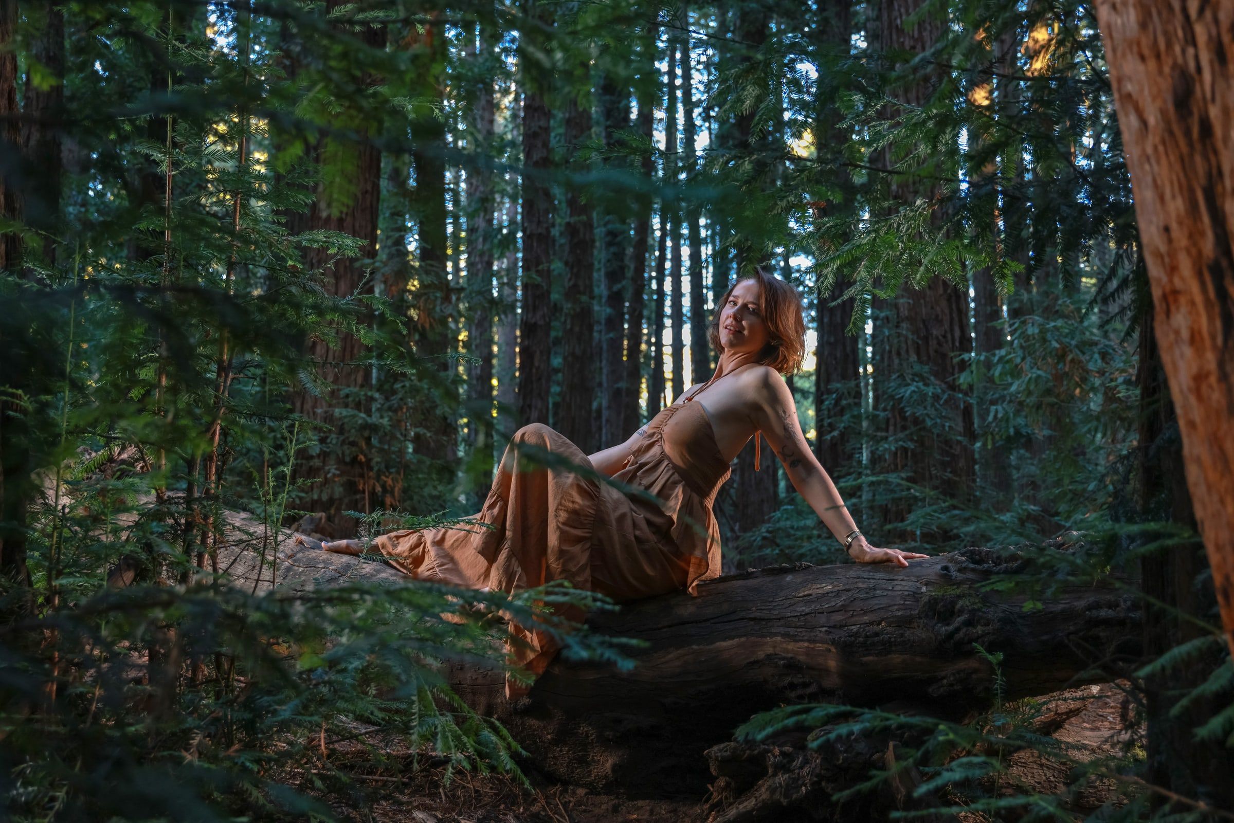 Project Main Image – Noelle
