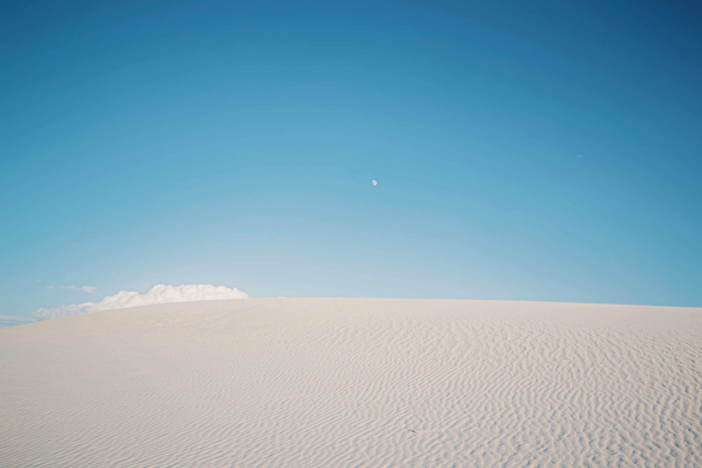 Project Main Image – White Sands