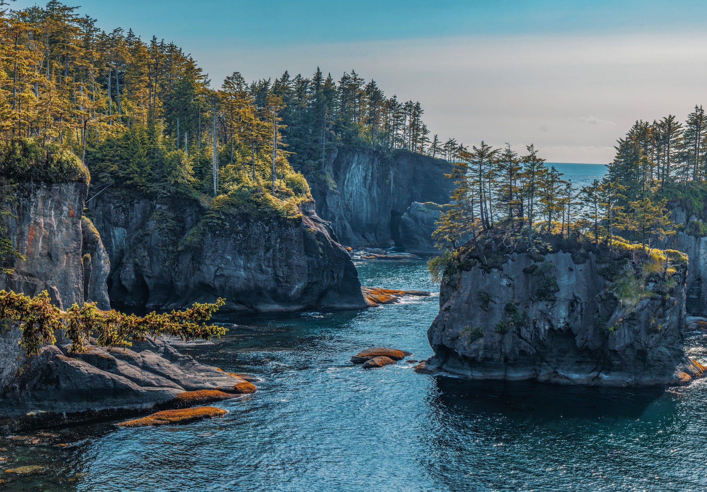 Project Main Image – Olympic National Park