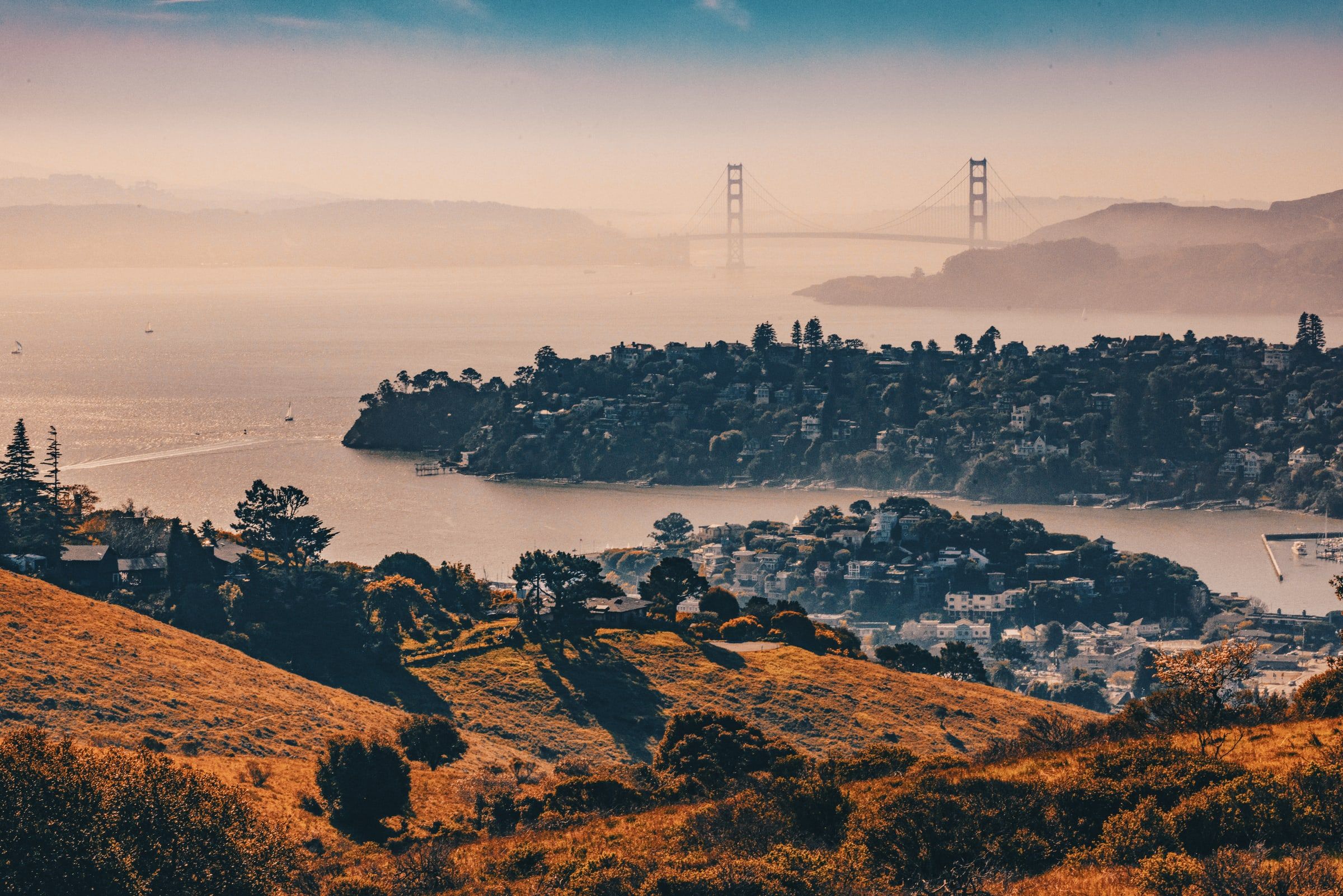 Project Main Image – Tiburon