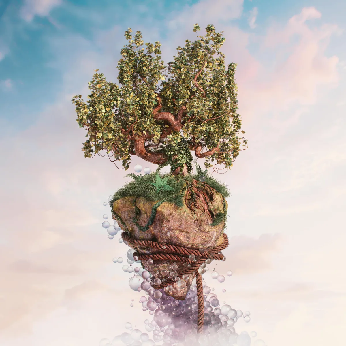 Project Main Image – Above The Clouds
